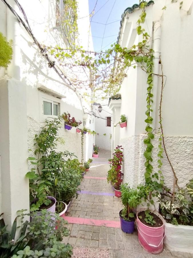 Сasa de vacaciones Maison Médina, Terrasse Panoramique *